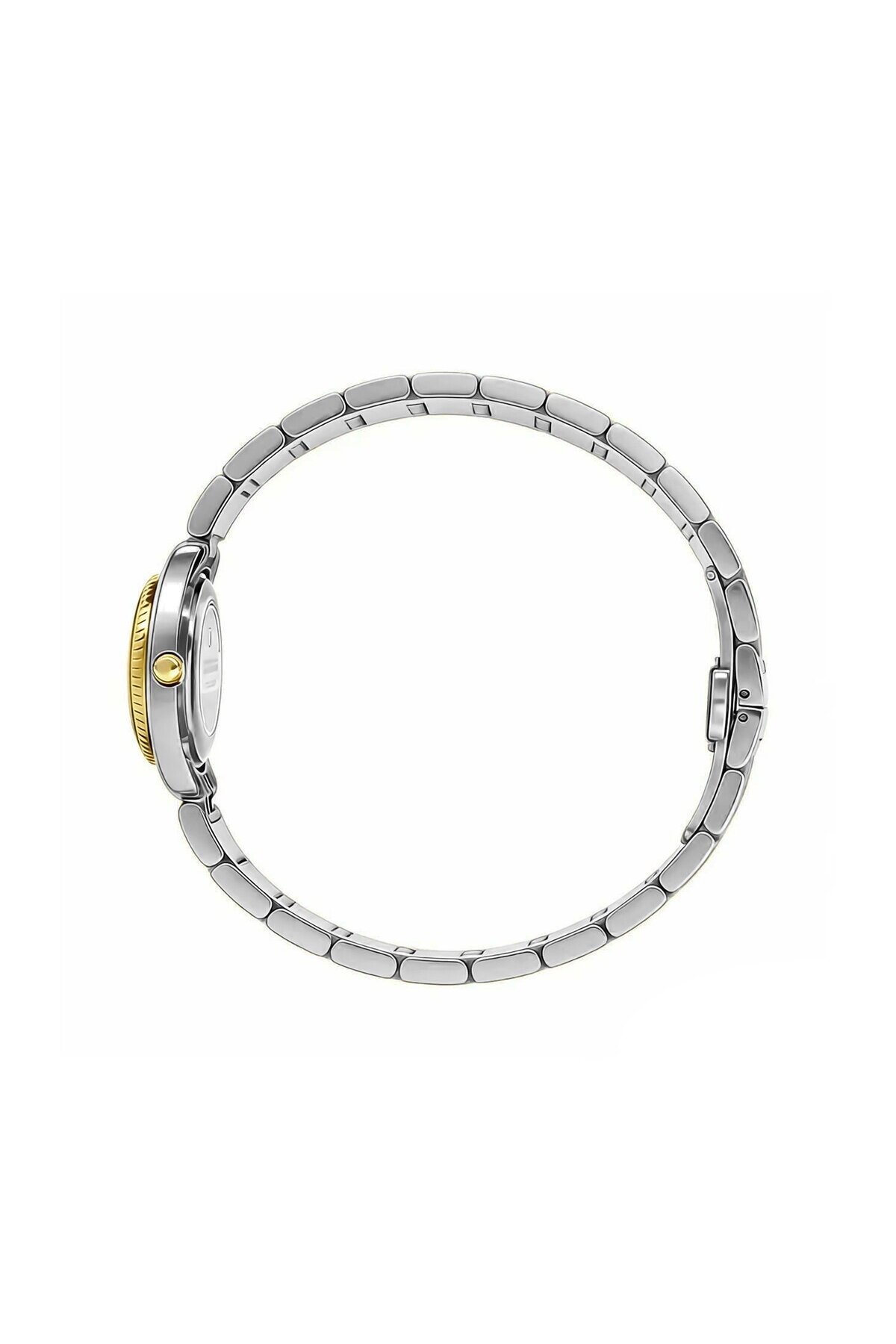 RD213034L Çelik Kordonlu Kadın Kol Saati