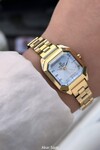 RD213026L Çelik Kordonlu Kadın Kol Saati 